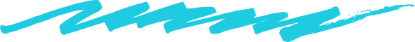 D3